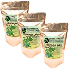 Load image into Gallery viewer, Moringa Mint Tea Bags - Moringa Energy Life