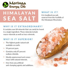 Load image into Gallery viewer, Pink Himalayan Sea Salt with Moringa Leaf Shaker 4 oz - Moringa Energy Life