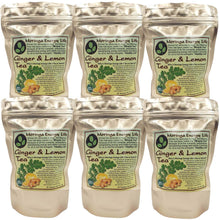 Load image into Gallery viewer, Moringa Ginger Lemon Tea Bags (28 teas) - Moringa Energy Life
