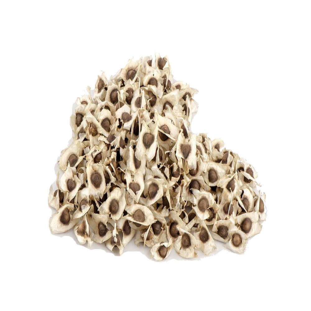 Moringa Seeds for Planting, Natural PKM1 Variety to Eat or Plant